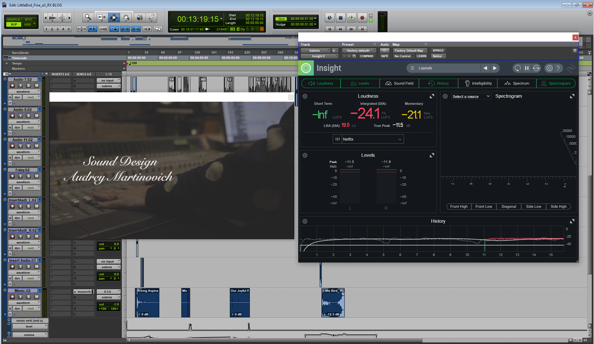 Insight 2 measuring loudness of a short film