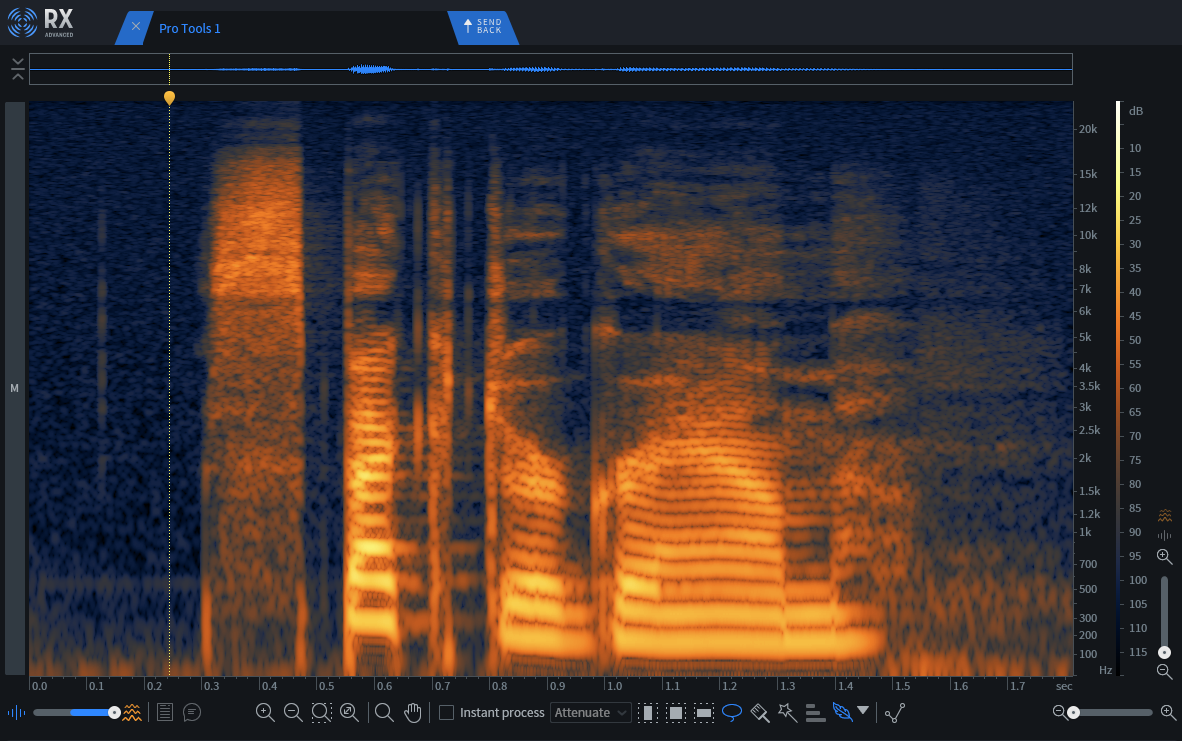 Spectrogram of an audio recording in iZotope RX11