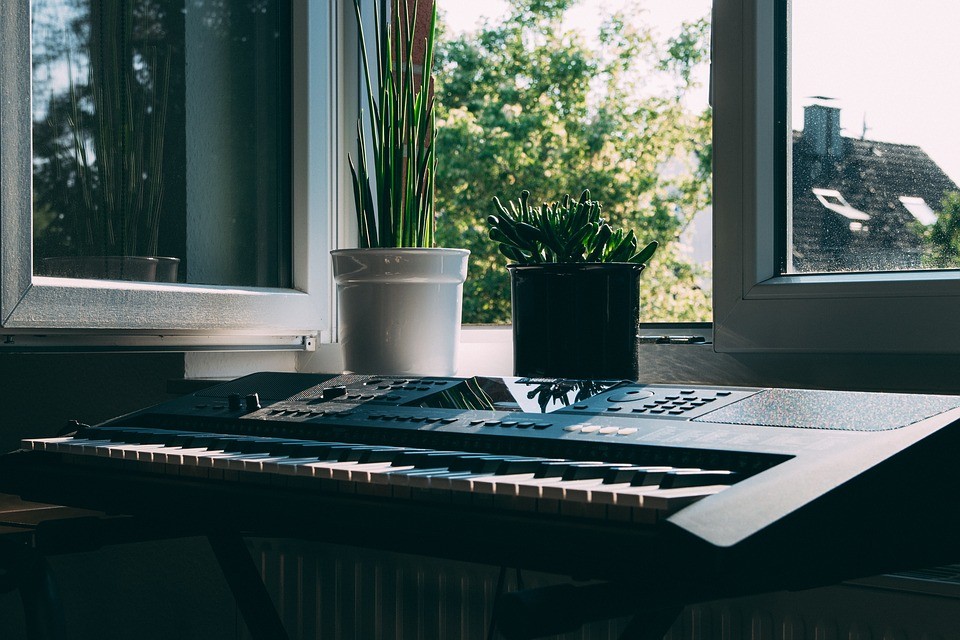 keyboard-and-plants.jpg