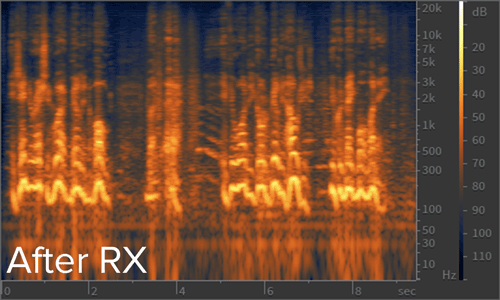 Dialogue before after cell phone interference in RX