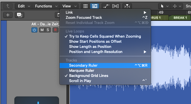 Adding the secondary ruler to the tracks area